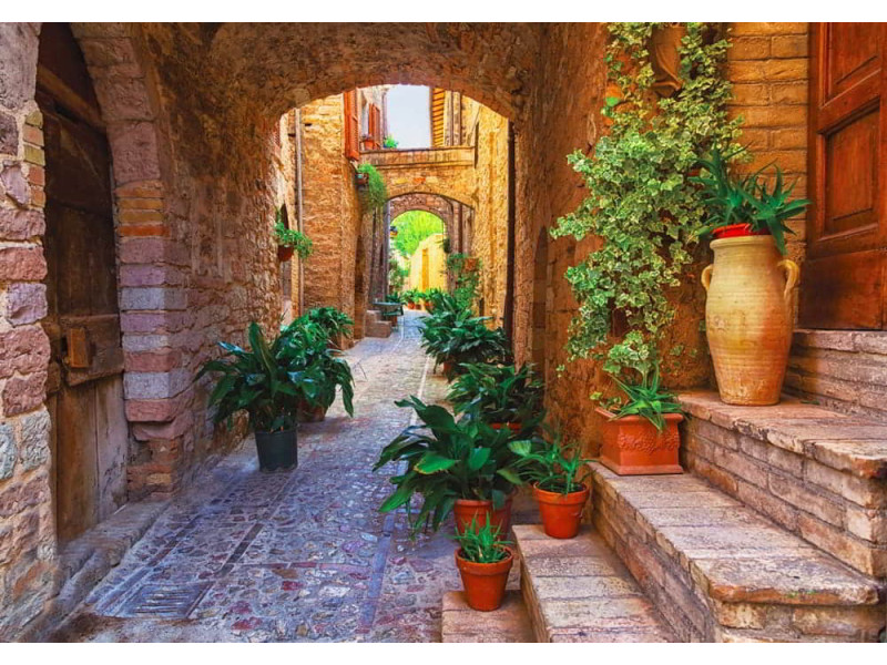 Potted Plants in Spello Streets - Classic Wall Mural for Modern Interiors Potted Plants in Spello Streets - Classic Wall Mural for Modern Interiors