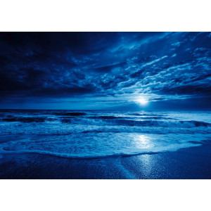 Midnight Blue Ocean - Classic Wall Mural for Modern Interiors | Wall4Soul