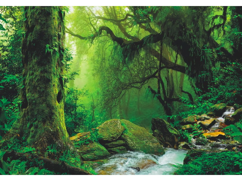Nepal Jungle - Classic Wall Mural for Modern Interiors