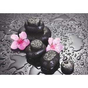 Spa Stones with Sakura Flowers - Classic Wall Mural for Modern Interiors Spa Stones with Sakura Flowers - Classic Wall Mural for Modern Interiors