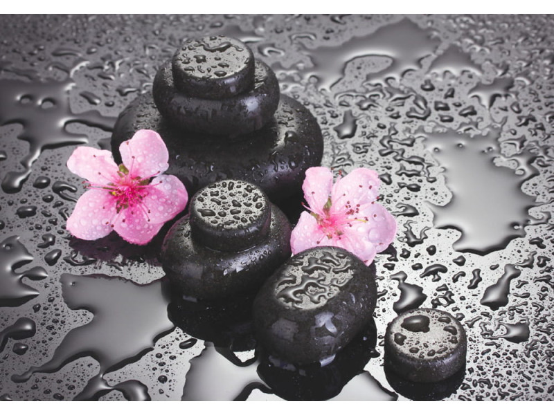 Spa Stones with Sakura Flowers - Classic Wall Mural for Modern Interiors Spa Stones with Sakura Flowers - Classic Wall Mural for Modern Interiors