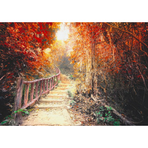 Pathway in Fantasy Forest - Classic Wall Mural for Modern Interiors