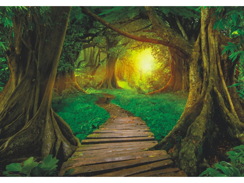 Wooden Pathway in Asian Jungle - Classic Wall Mural for Modern Interiors Wooden Pathway in Asian Jungle - Classic Wall Mural for Modern Interiors