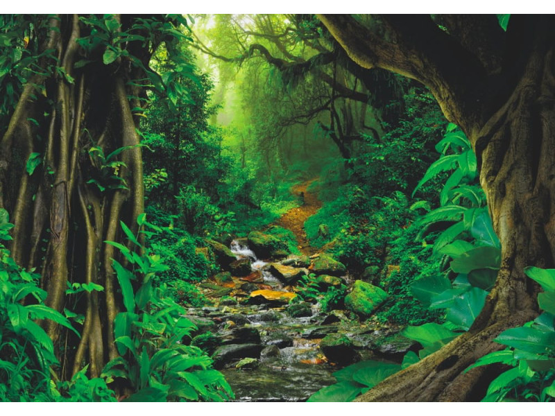 Tropical Jungle - Classic Wall Mural for Modern Interiors Tropical Jungle - Classic Wall Mural for Modern Interiors
