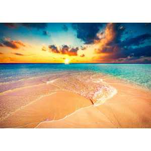 Tropical Beach - Classic Wall Mural for Modern Interiors | Wall4Soul