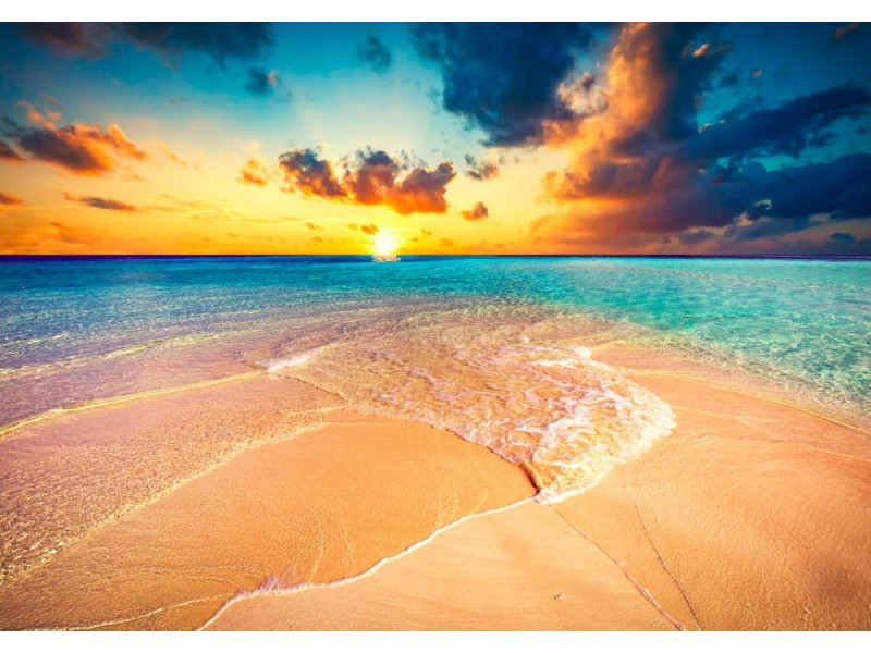 Tropical Beach - Classic Wall Mural for Modern Interiors Tropical Beach - Classic Wall Mural for Modern Interiors