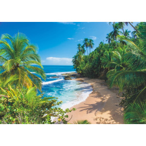 Wild Beach in Costa Rica - Classic Wall Mural for Modern Interiors | Wall4Soul