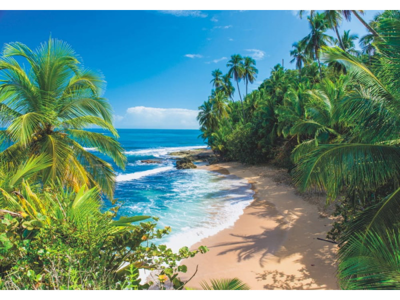 Wild Beach in Costa Rica - Classic Wall Mural for Modern Interiors Wild Beach in Costa Rica - Classic Wall Mural for Modern Interiors