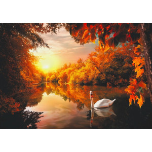 White Swan on Autumn Pond - Classic Wall Mural for Modern Interiors White Swan on Autumn Pond - Classic Wall Mural for Modern Interiors | Wall4Soul